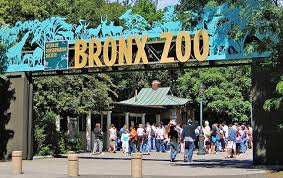 Bronx Zoo download (1)