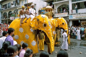 Kandy - festivals-0002