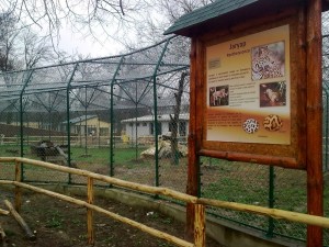 Zoo Bitola Image0717